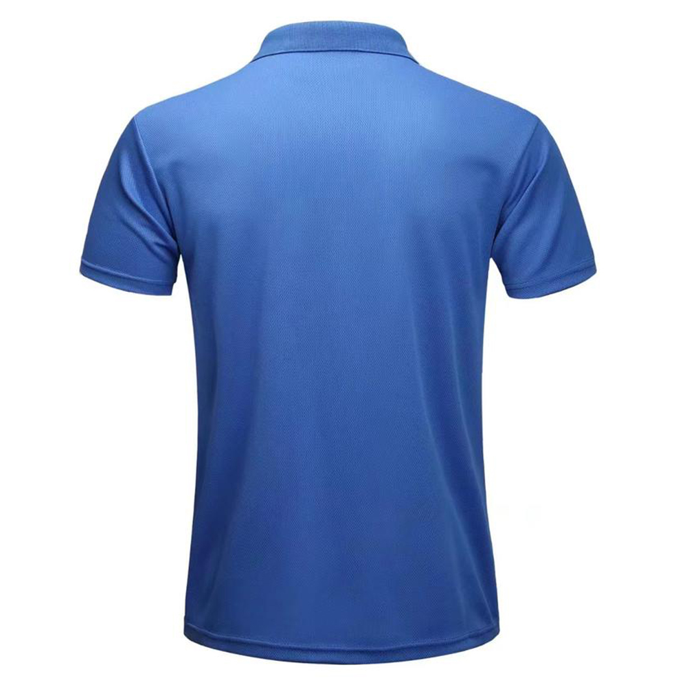Plain Dry Fit Polo T Shirts Me – Polo Shirt Pique Bewertung und Preis